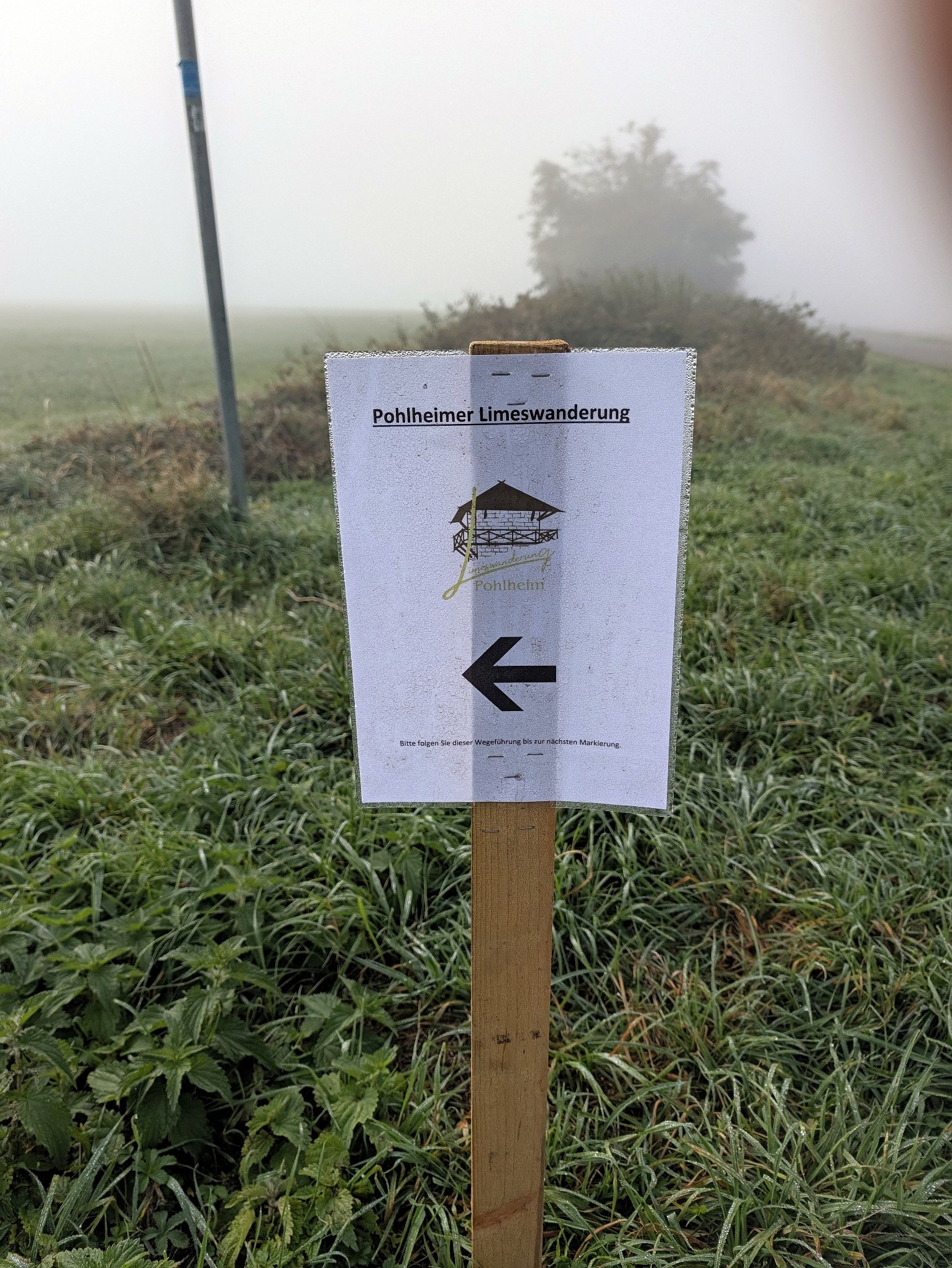 Der Weg ist gewiesen.