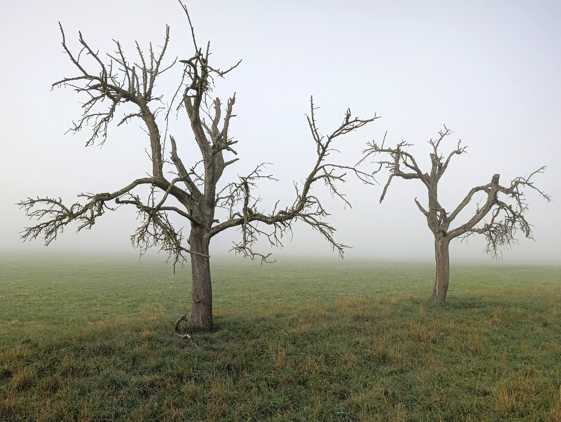 Die Landschaft hält sich bedeckt.