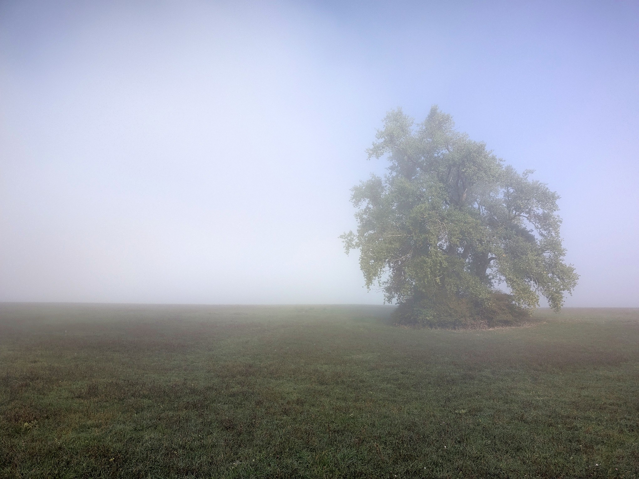 Nebel über dem Grenzland.