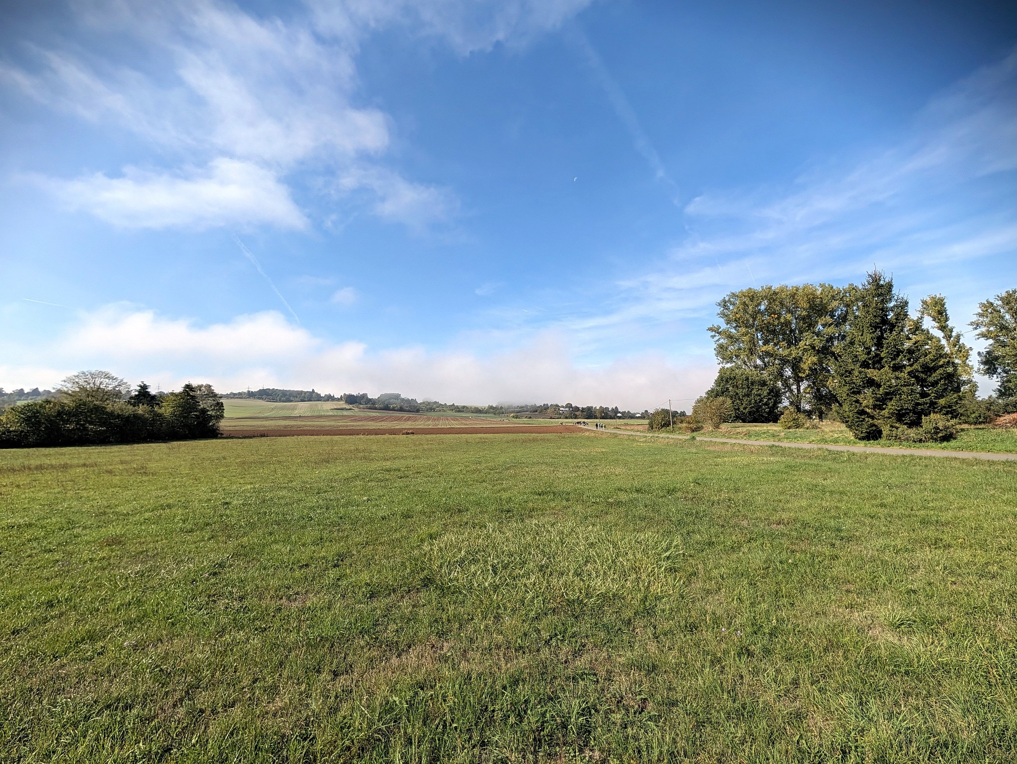 Sonnige Felder rund um Grüningen unter blauem Himmel