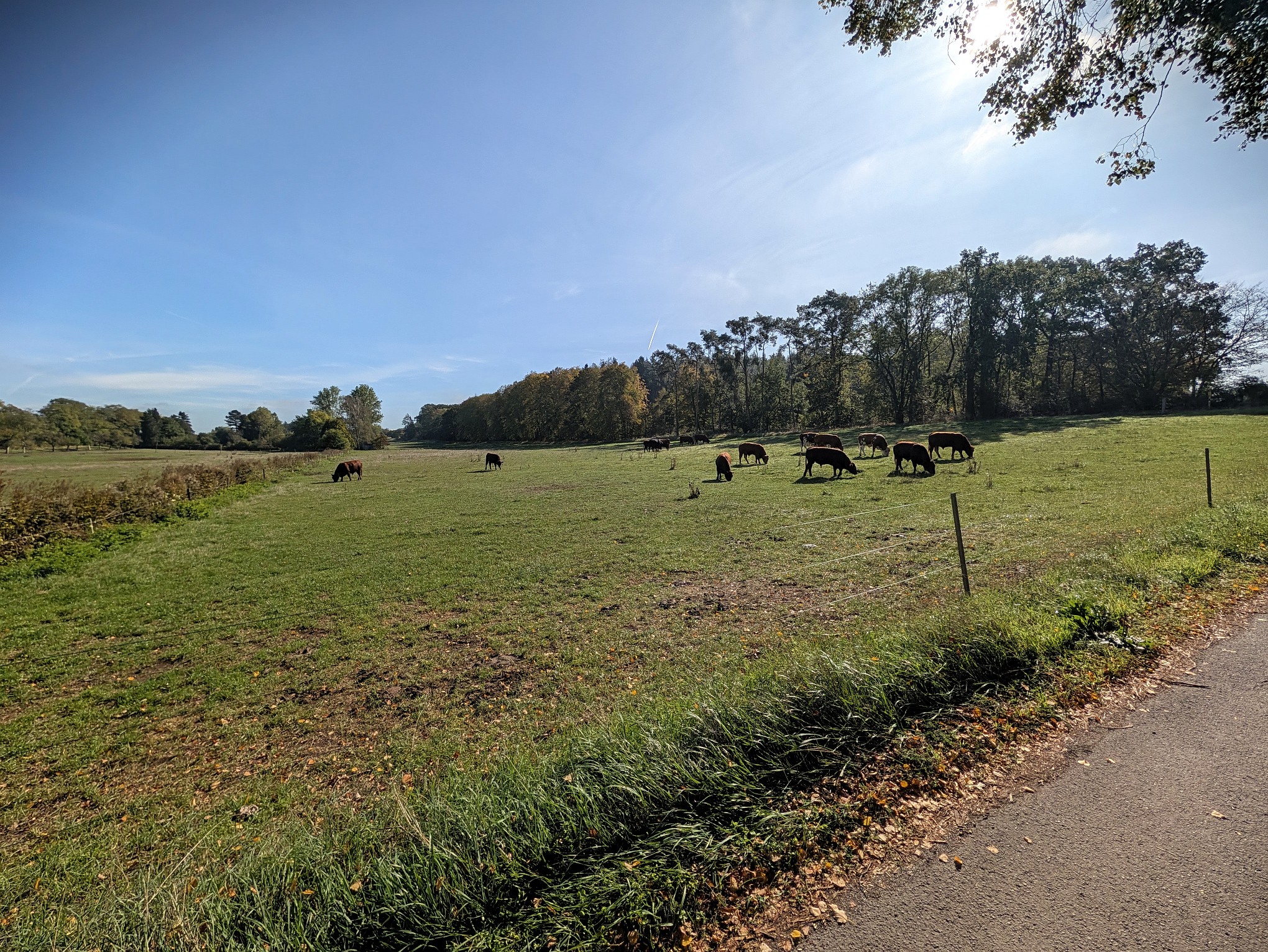 Auf dem Weg zum Geflügelverein.